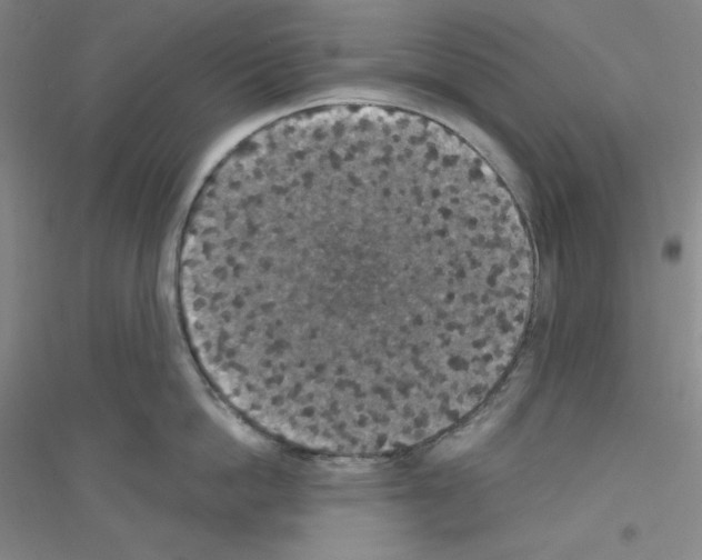 X0000116770862201001281631