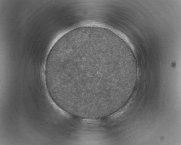 X0000116770863201001281631