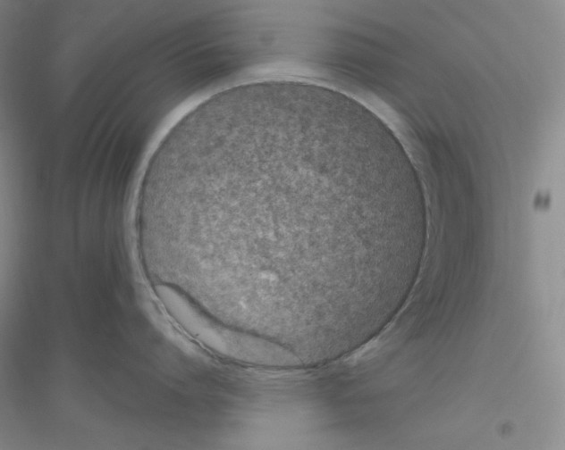 X0000116770864201001281631