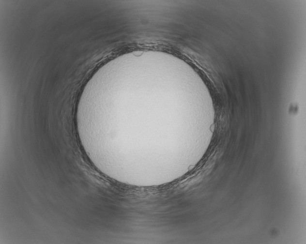 X0000116770865201001281631