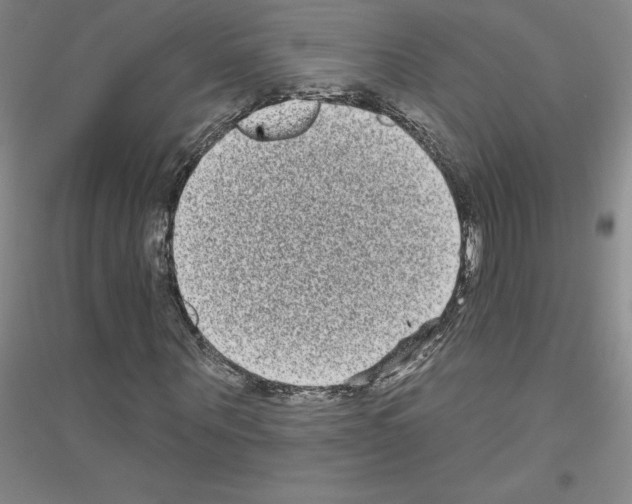 X0000116770867201001281631