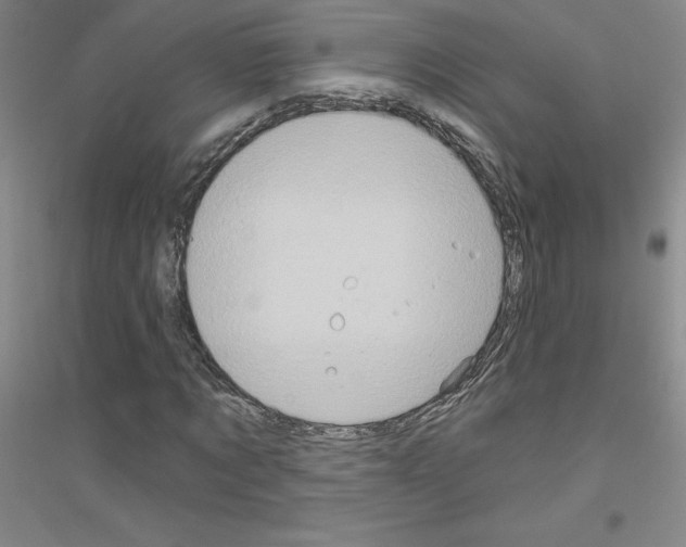 X0000116770869201001281631