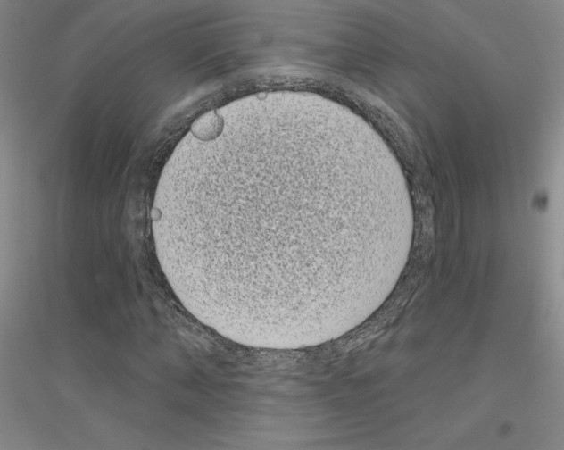 X0000116770870201001281631