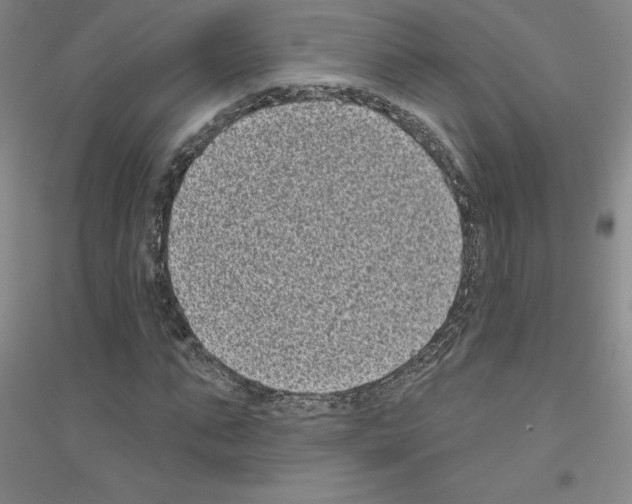 X0000116770871201001281631