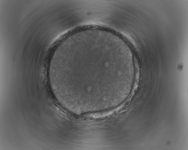 X0000116770872201001281631