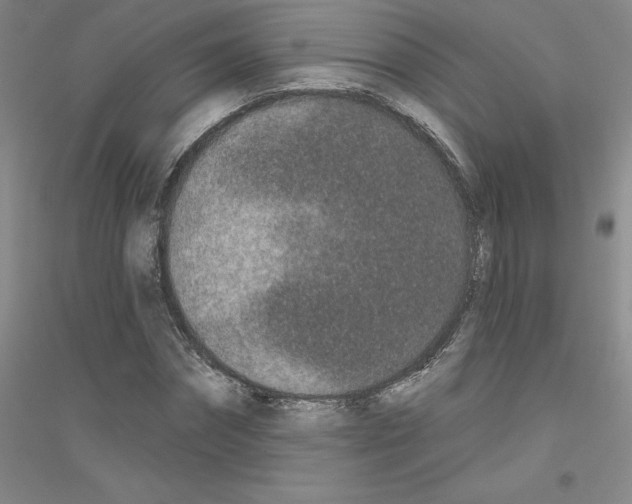 X0000116770874201001281630