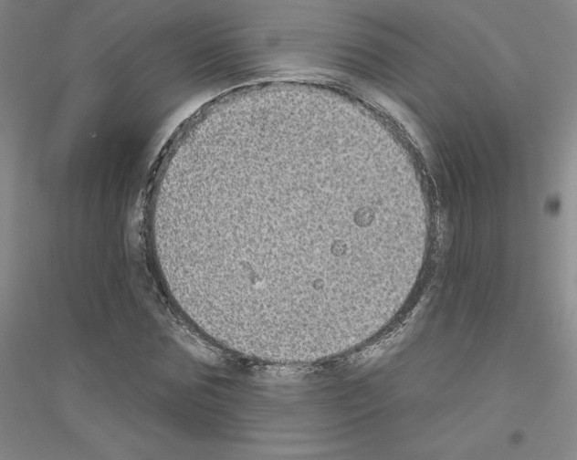 X0000116770875201001281630