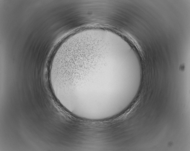 X0000116770876201001281630