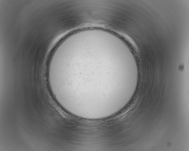X0000116770878201001281630