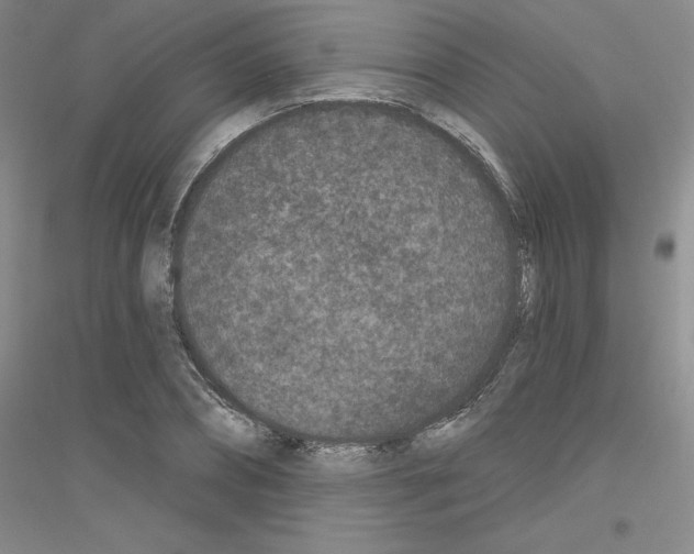 X0000116770882201001281630