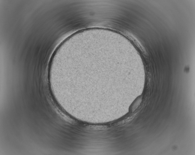 X0000116770884201001281630