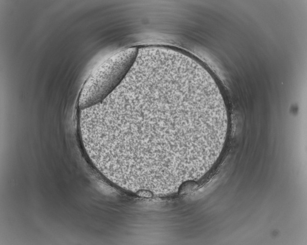 X0000116770885201001281630