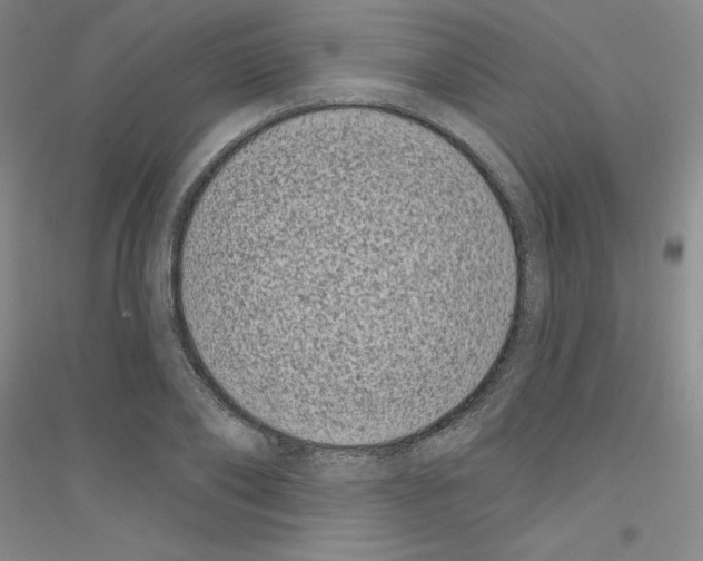 X0000116770886201001281630
