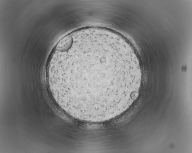 X0000116770887201001281630