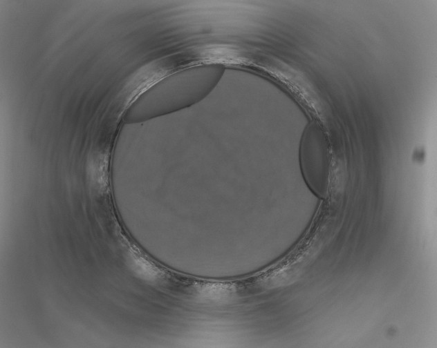X0000116770889201001281630