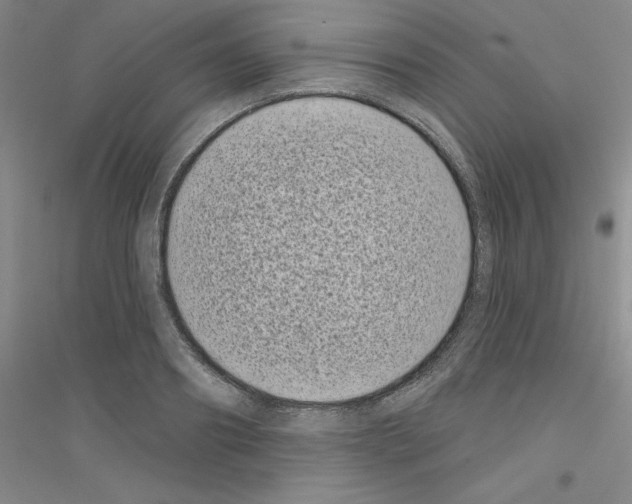 X0000116770890201001281630