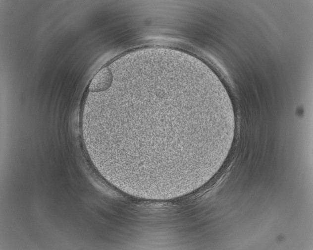 X0000116770891201001281630