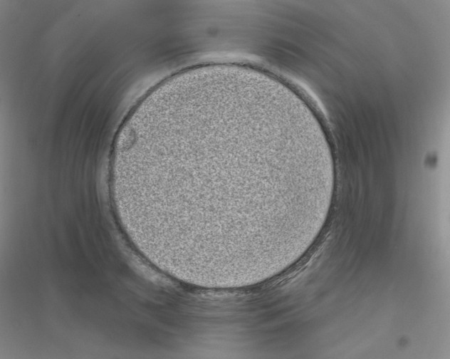 X0000116770895201001281630