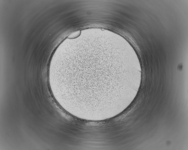 X0000116770898201001281630