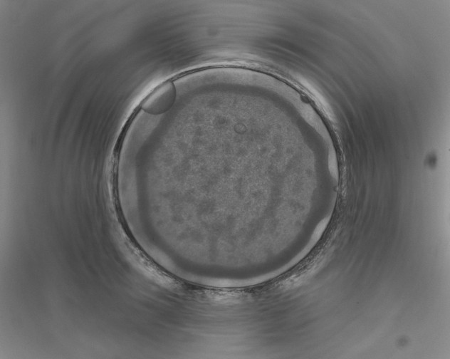 X0000116770899201001281630