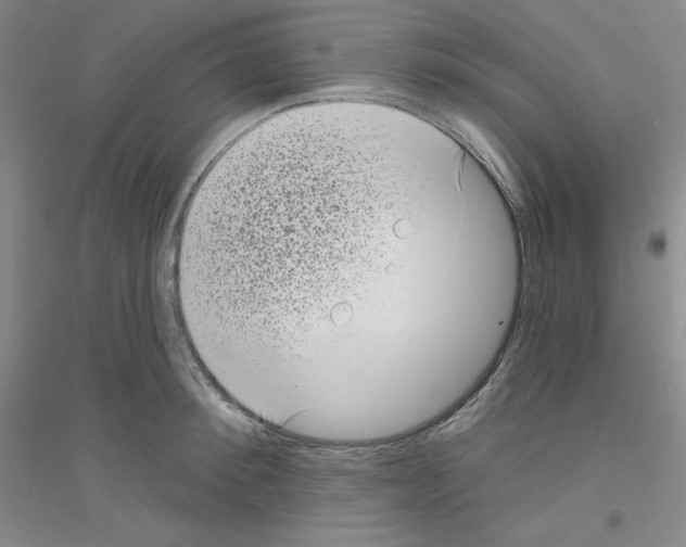 X0000116770900201001281630