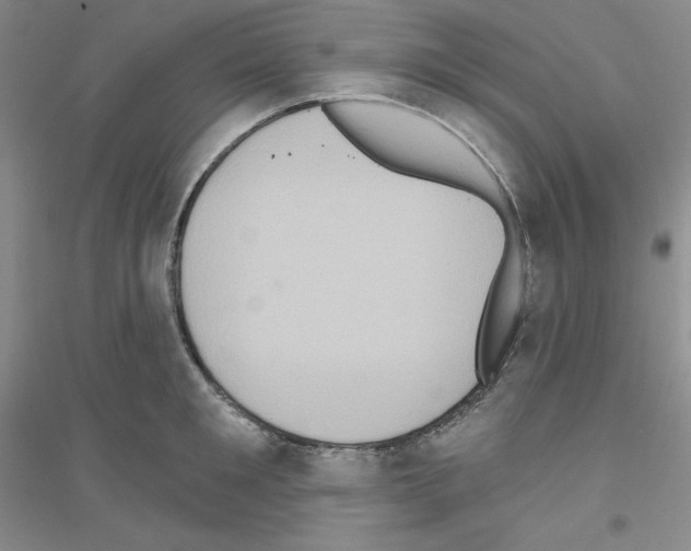 X0000116770901201001281630