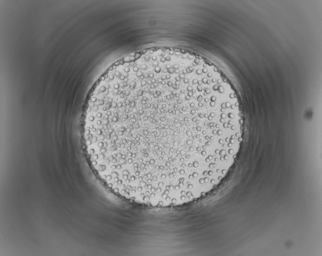 X0000116770906201001281630