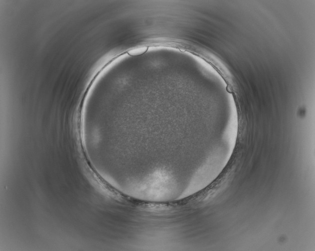 X0000116770907201001281630