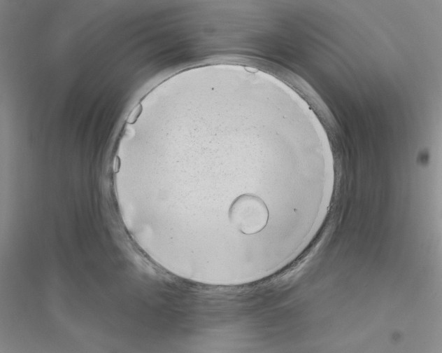 X0000116770908201001281630