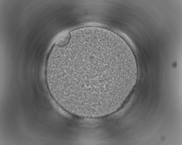 X0000116770910201001281630