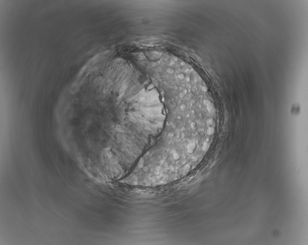 X0000116770913201001281629