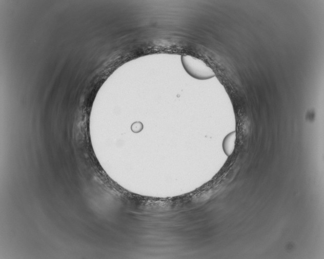 X0000116770914201001281629