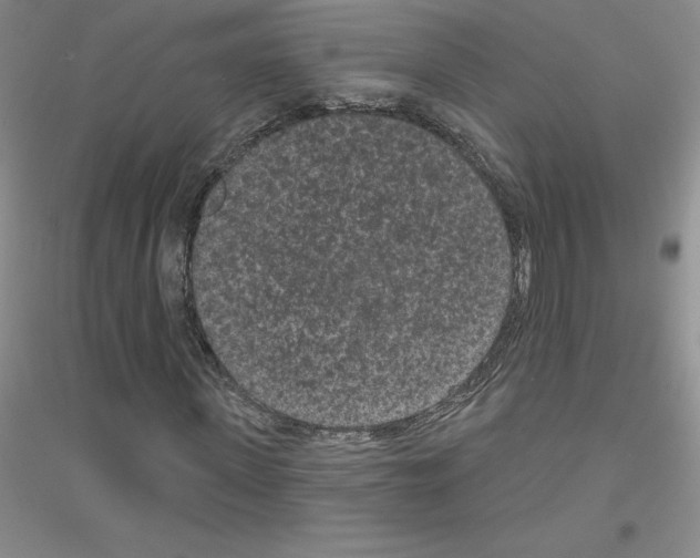 X0000116770915201001281629