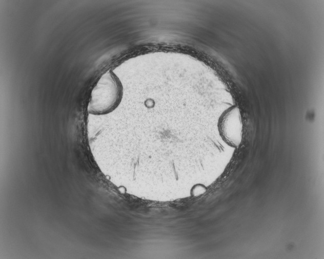 X0000116770918201001281629
