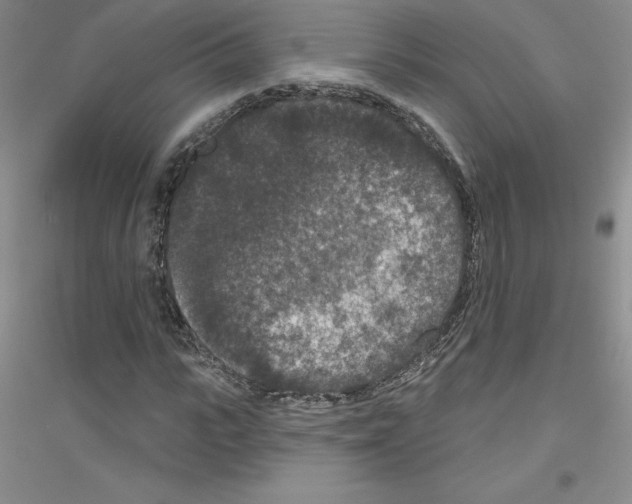 X0000116770919201001281629