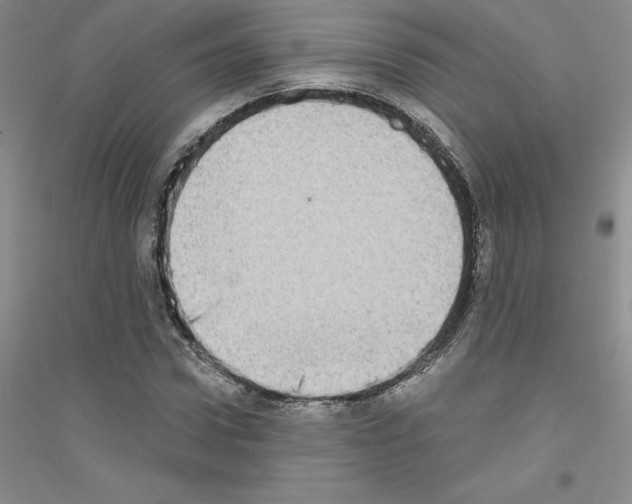 X0000116770922201001281629