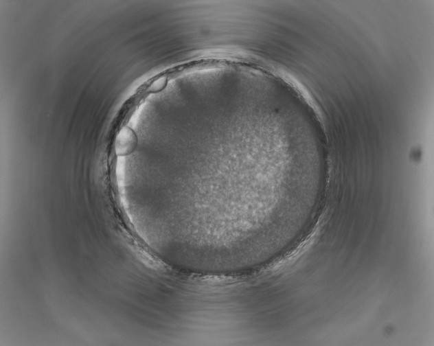 X0000116770923201001281629