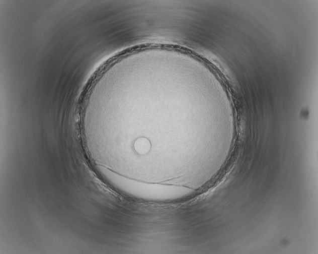 X0000116770926201001281629