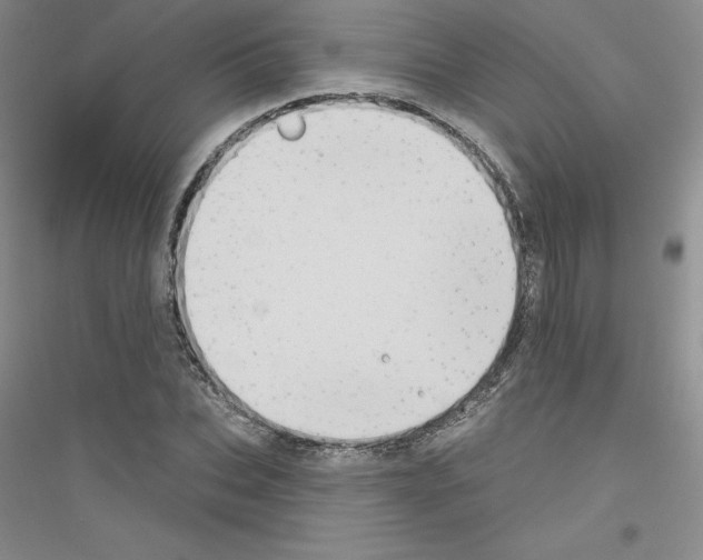 X0000116770927201001281630