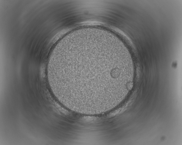 X0000116770929201001281630