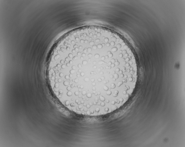 X0000116770931201001281630