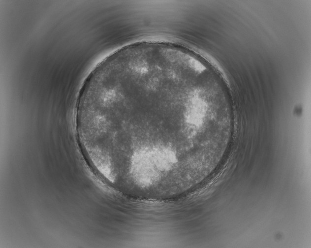 X0000116770935201001281630