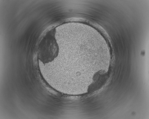 X0000116770937201001281630