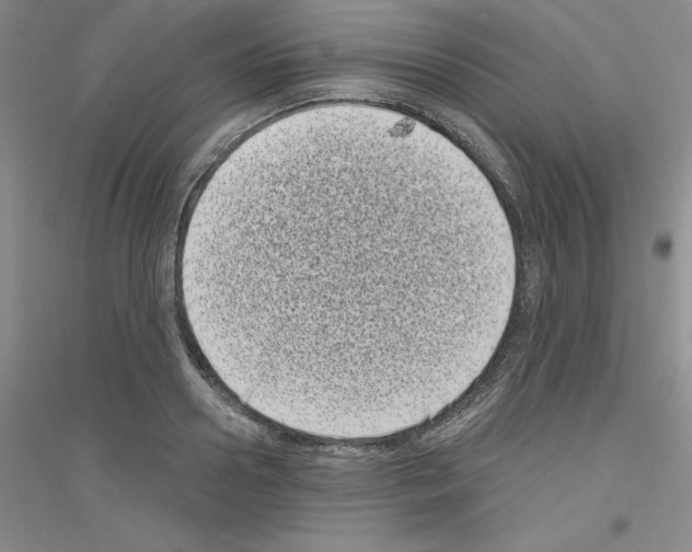 X0000116770938201001281630