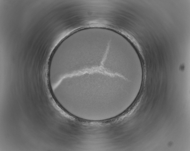 X0000116770941201001281630