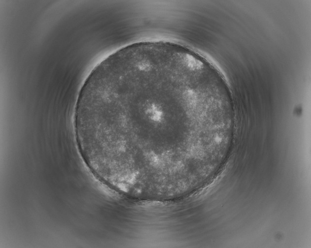 X0000116770943201001281630