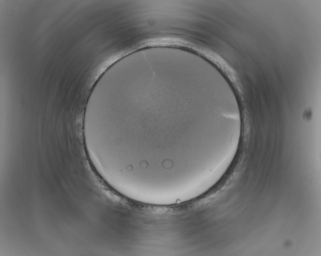 X0000116770945201001281630