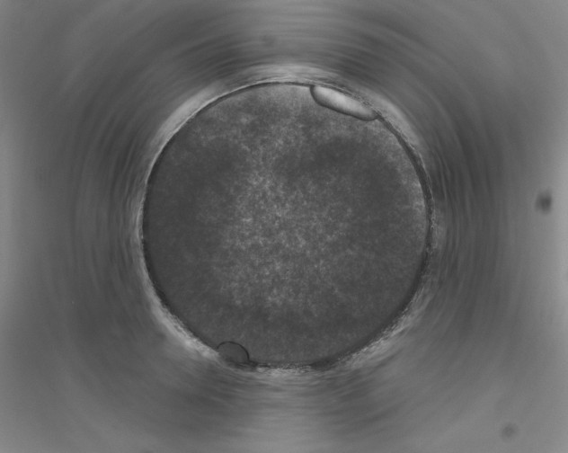X0000116770946201001281630