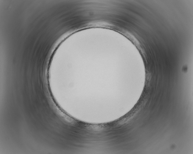 X0000116770947201001281630