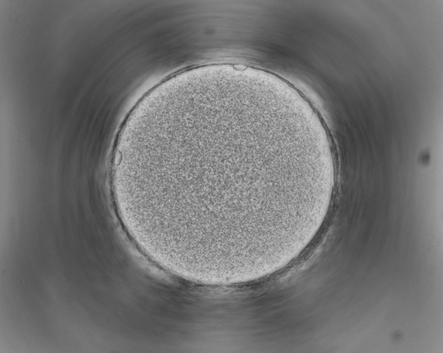 X0000116770949201001281630
